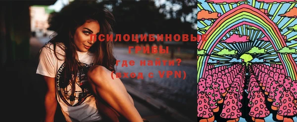 spice Абаза