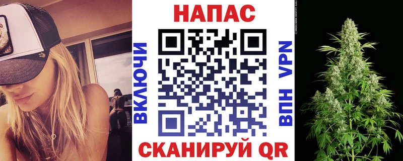Бошки Шишки гибрид  ОМГ ОМГ онион  Кирсанов 